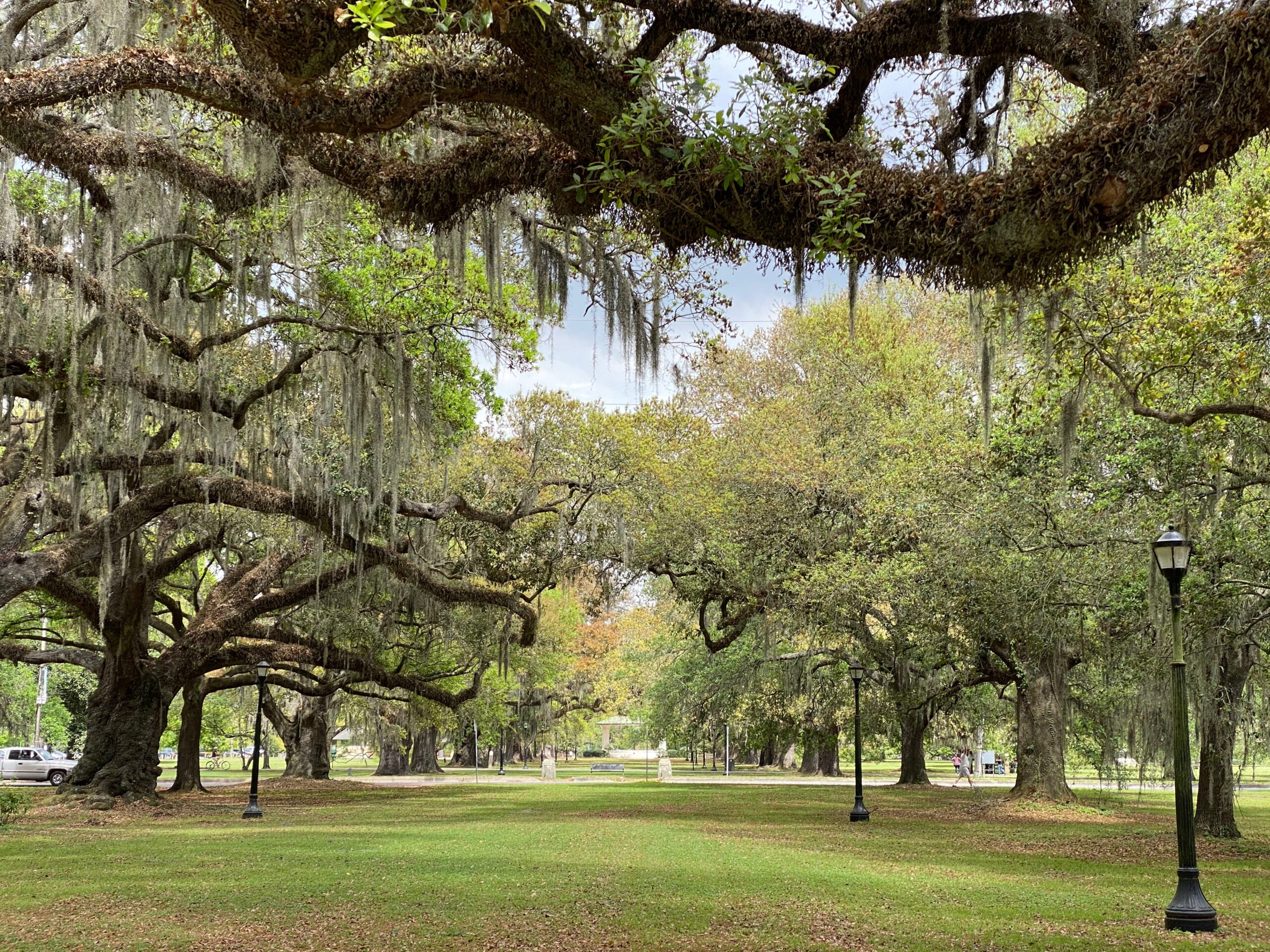 Things to do in New Orleans