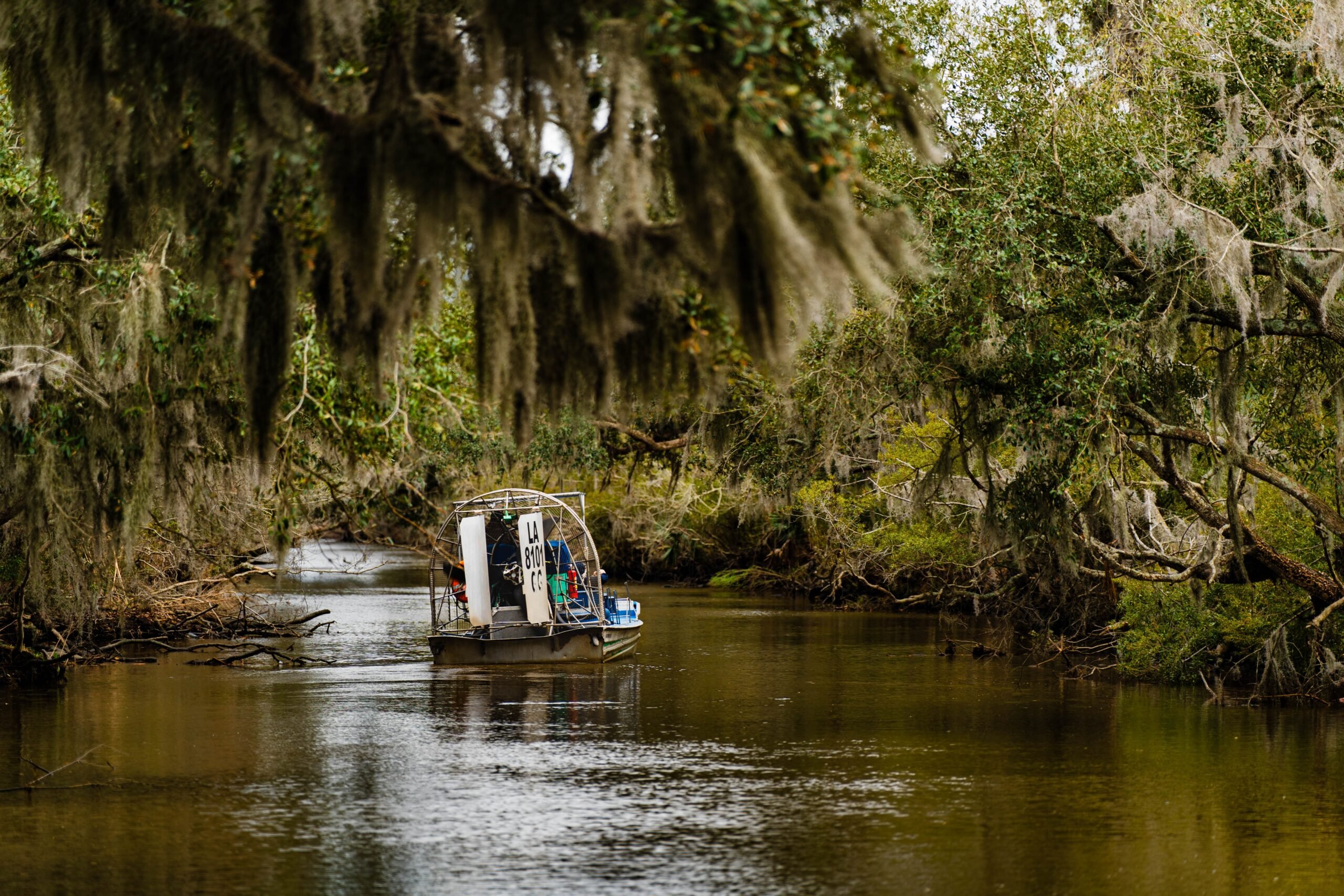 Swamp Tours